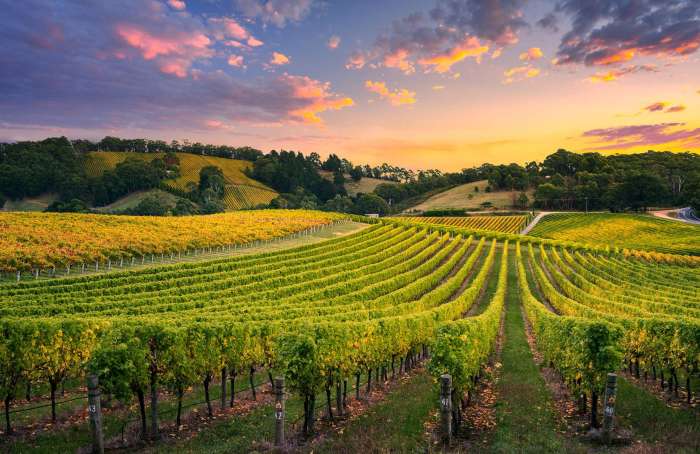 Learn more about Neighborhood E